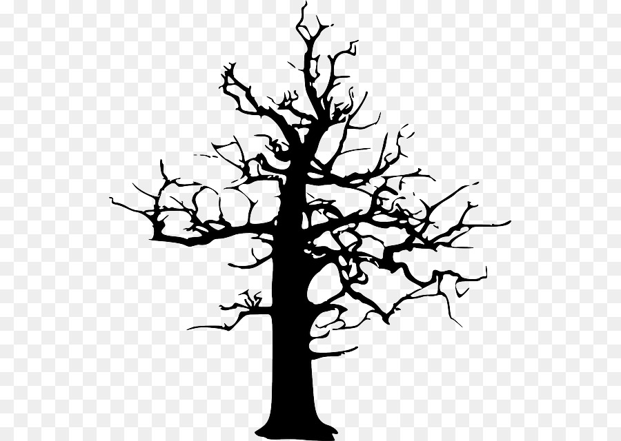 Silhouette D'arbre，Usine PNG