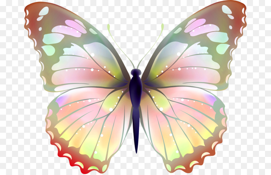 Papillon，Le Greta Oto PNG