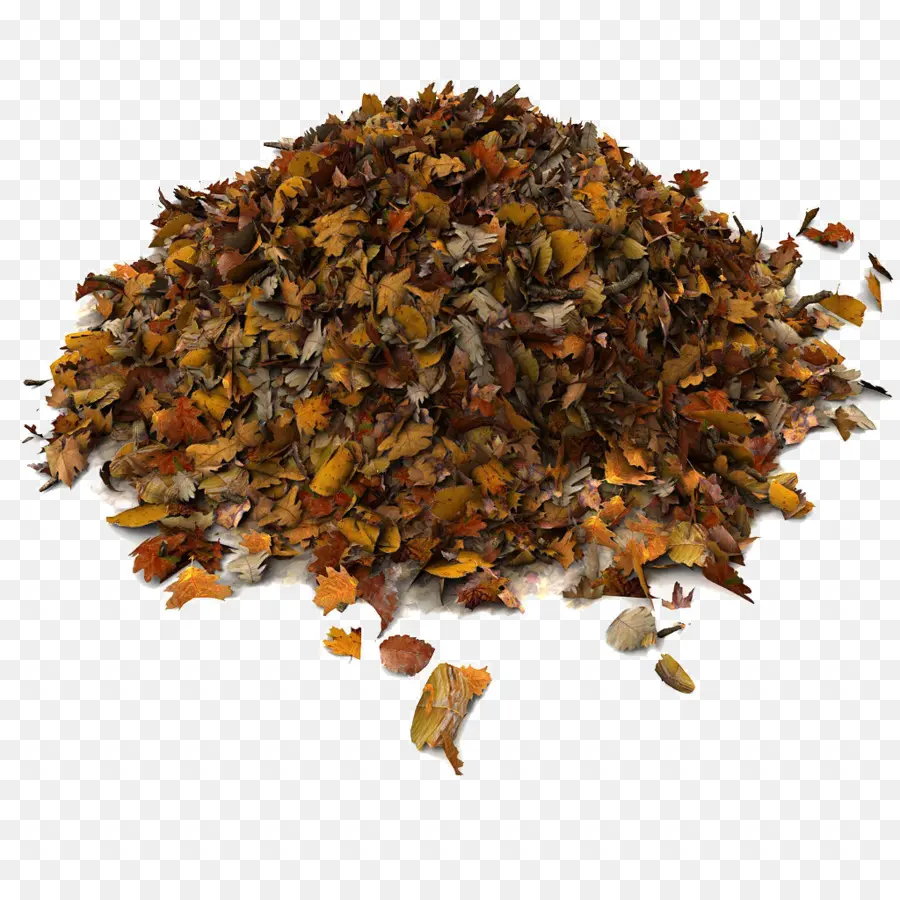 Tas De Feuilles，Automne PNG