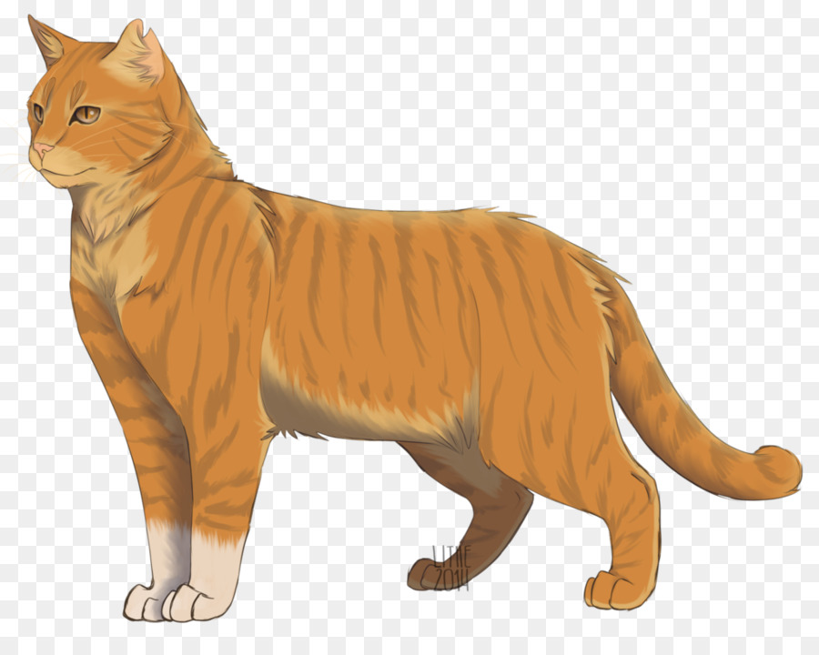 Chat，Animal De Compagnie PNG