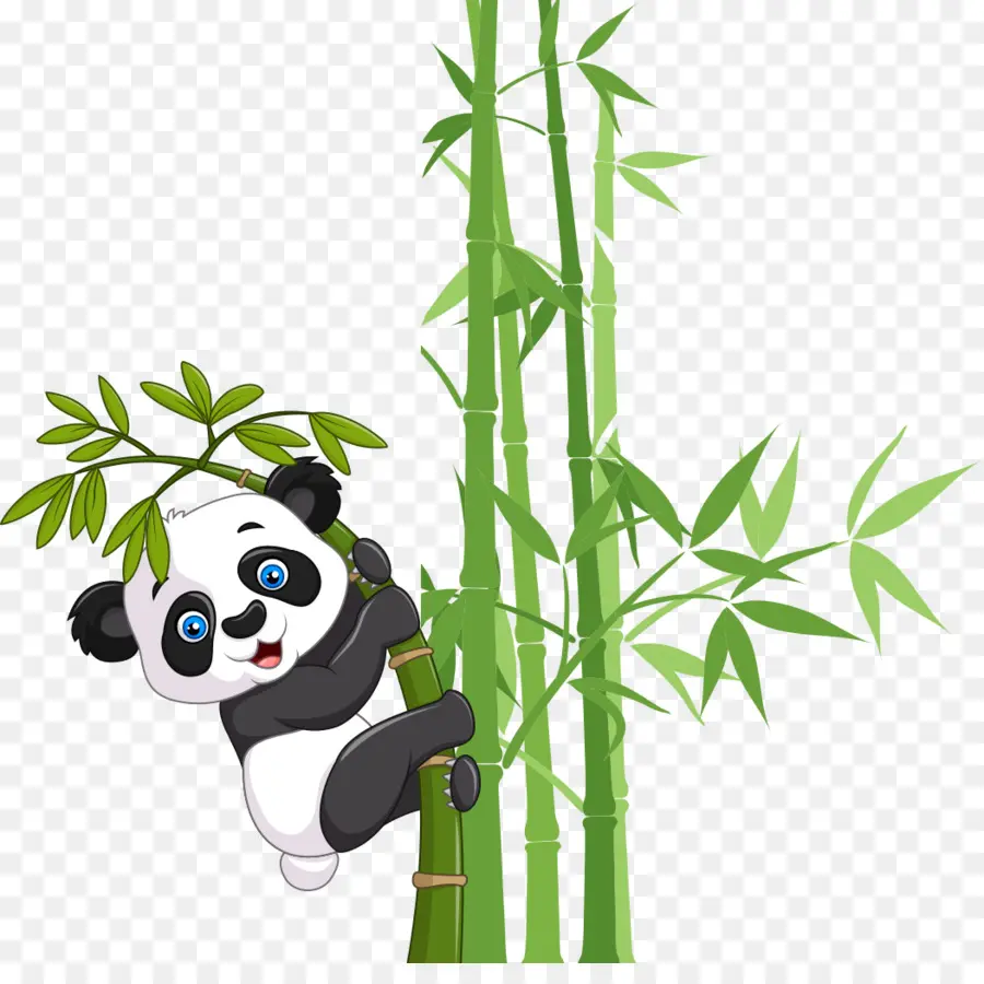 Panda，Bambou PNG