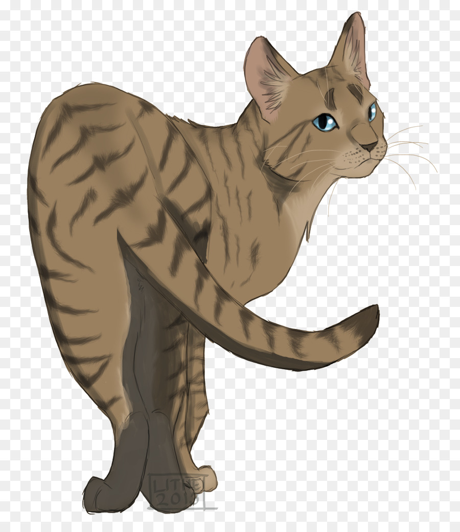 Chat Gris，Animal De Compagnie PNG