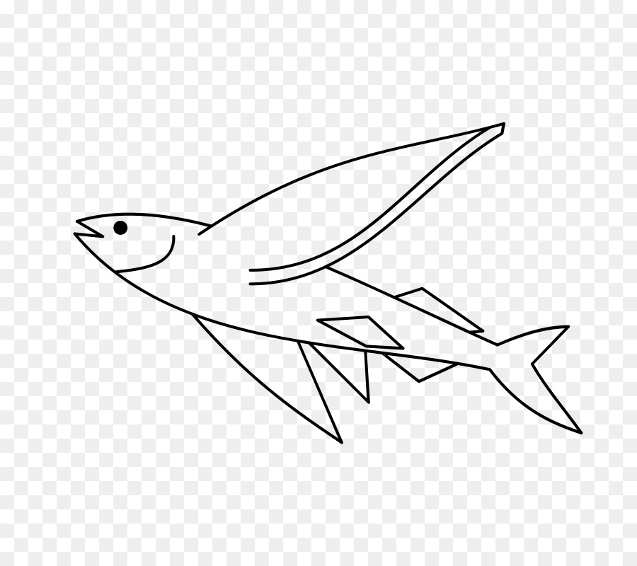 Poisson Volant，Poisson PNG