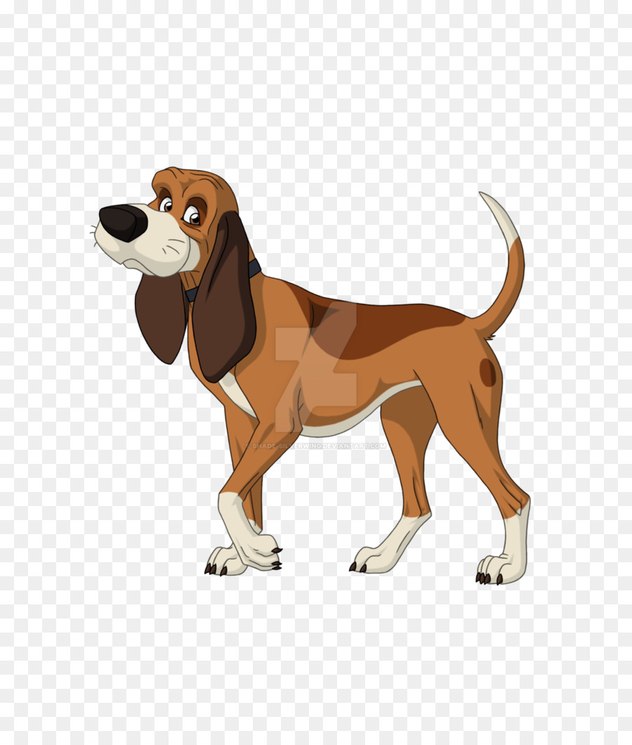 Chien，Animal De Compagnie PNG