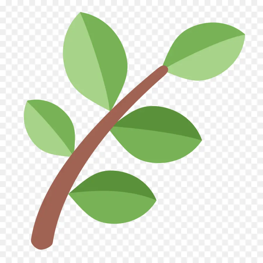 Vigne Verte，Feuilles PNG