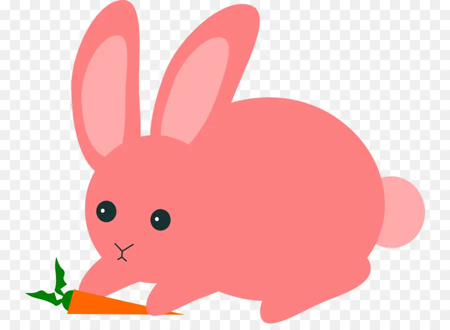 Un Lapin Domestique，Lapin PNG