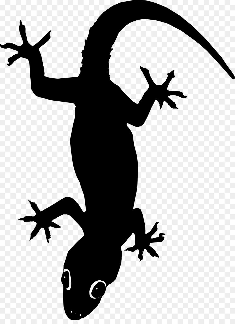 Lézard，Reptile PNG