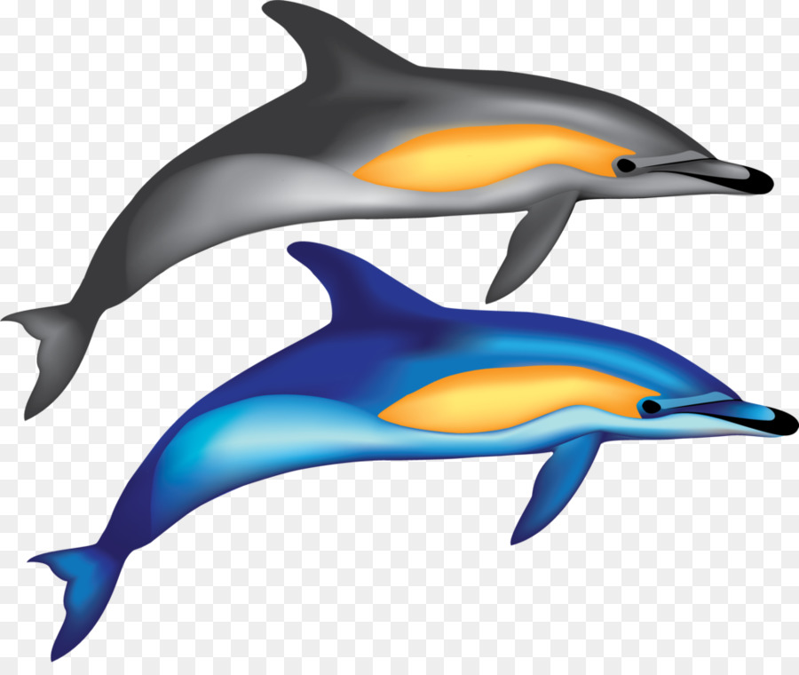 Dauphins De Dessin Animé，Marin PNG