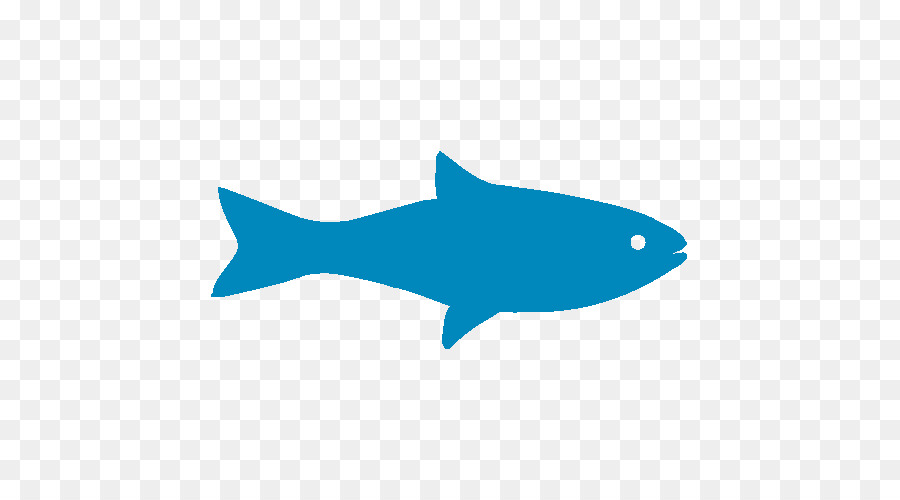 Poisson，Aquatique PNG