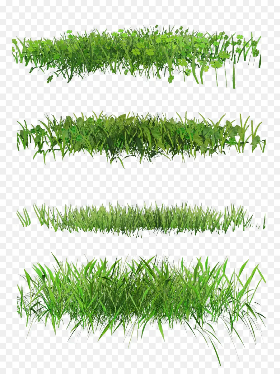 Herbe，Vert PNG