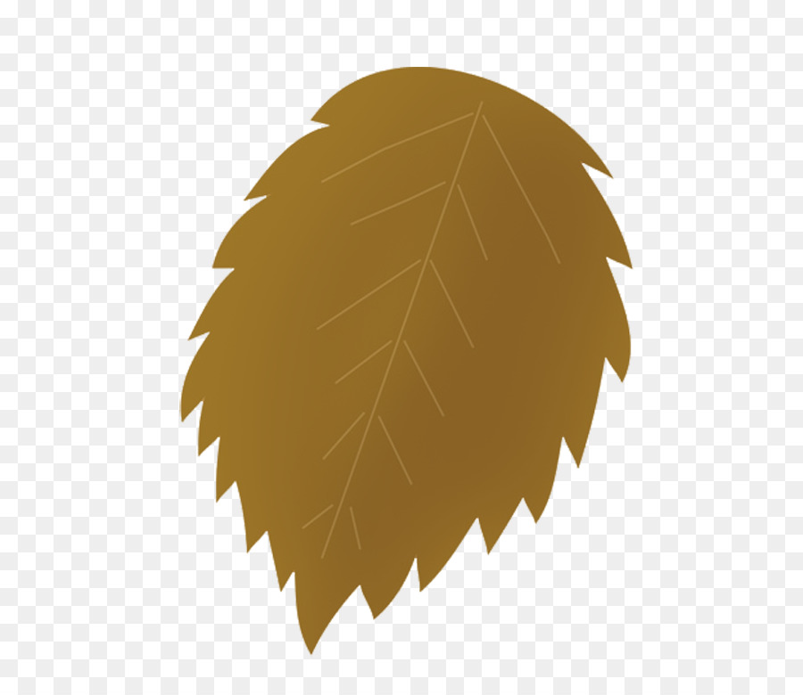 Feuilles，Brun PNG