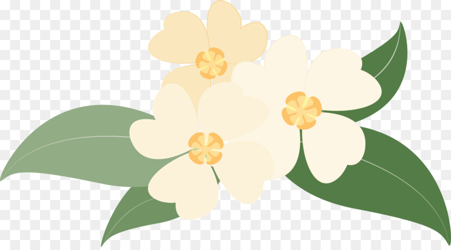 Fleurs，Blanc PNG