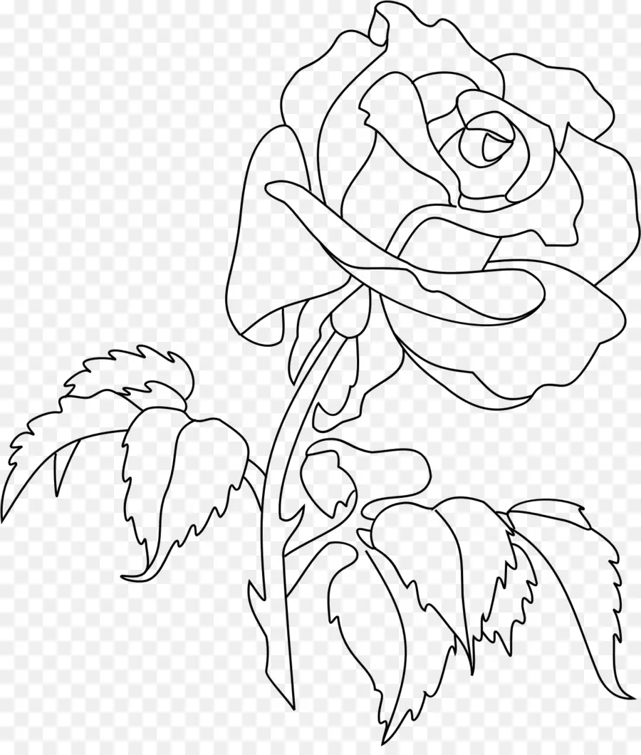 Rose，Livre De Coloriage PNG