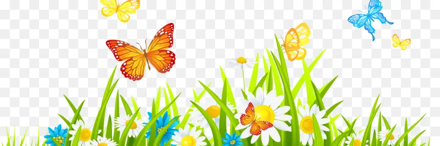 Papillons Et Fleurs，Nature PNG