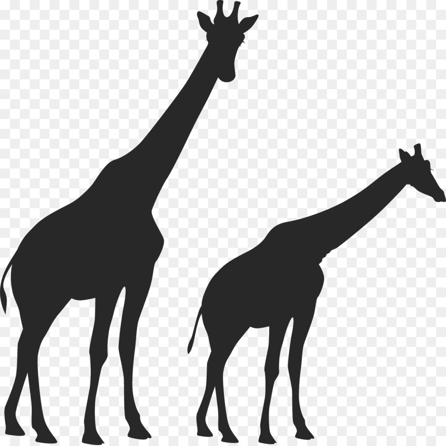 Girafe Bleue，Silhouette PNG