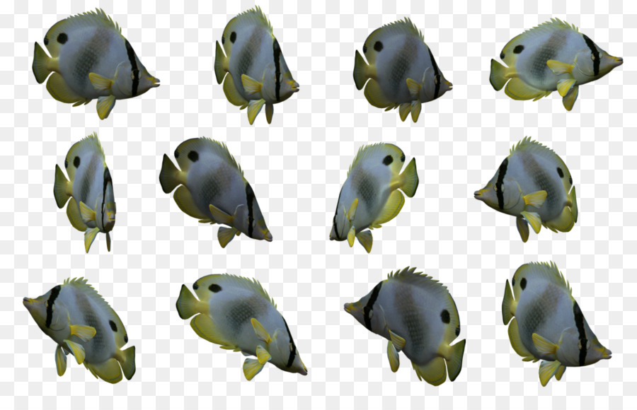 Les Poissons，Mer PNG