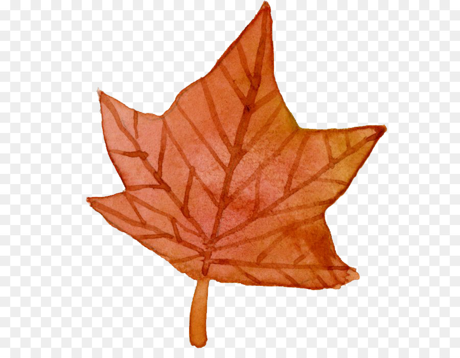 Feuille，Automne PNG