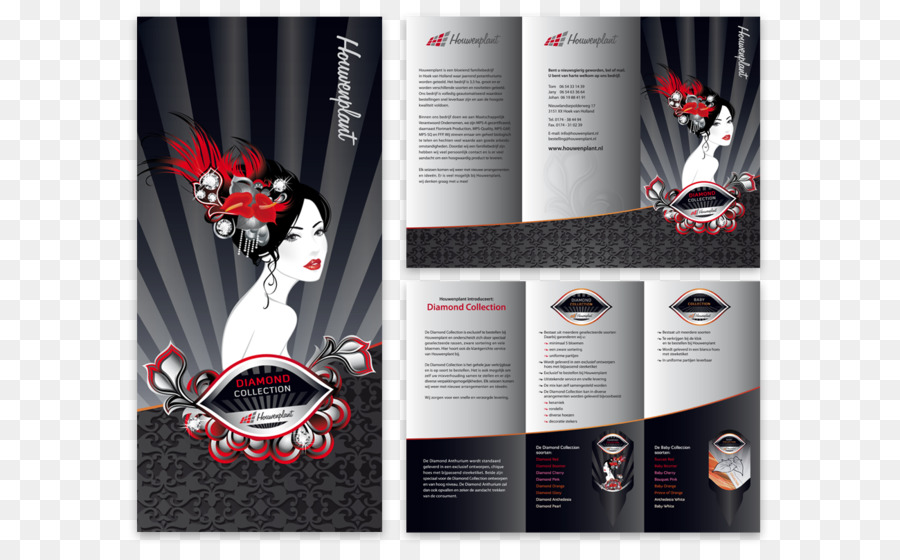 Conception De Brochures，Mise En Page PNG