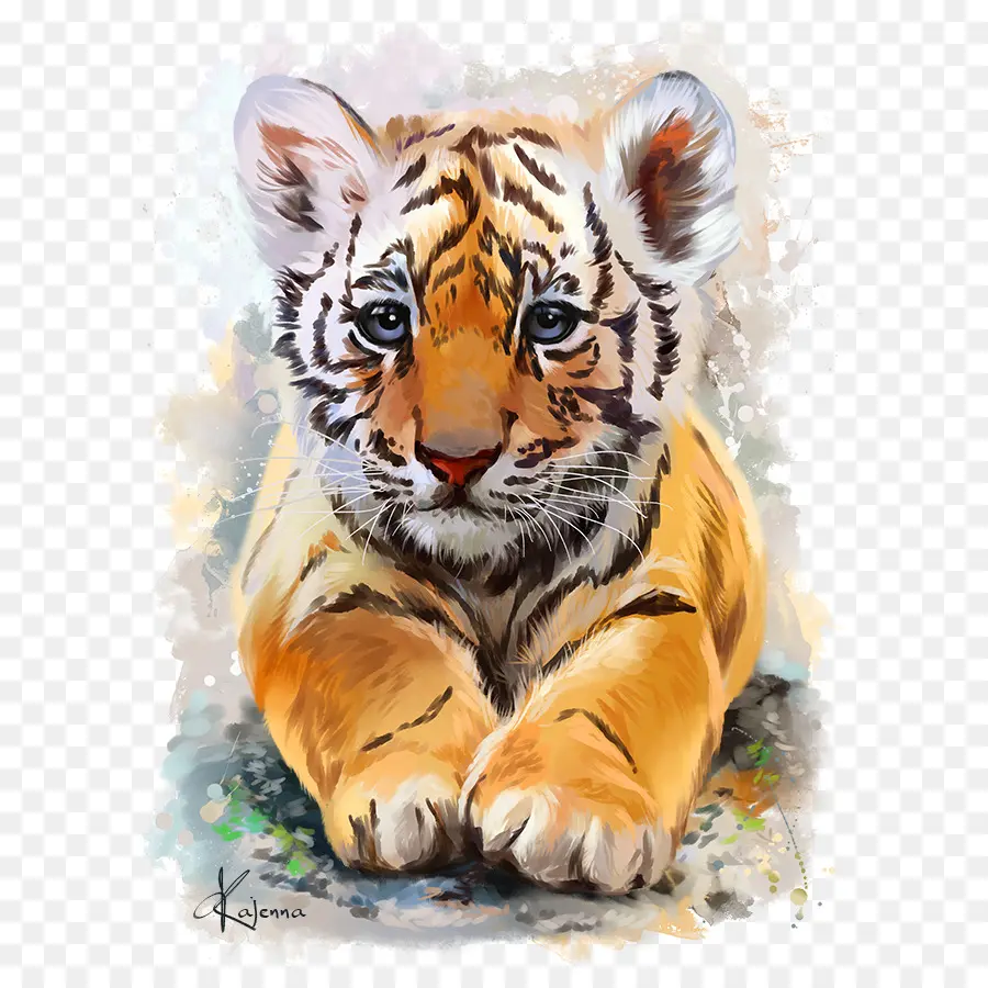 Tigre，Peinture à L Aquarelle PNG