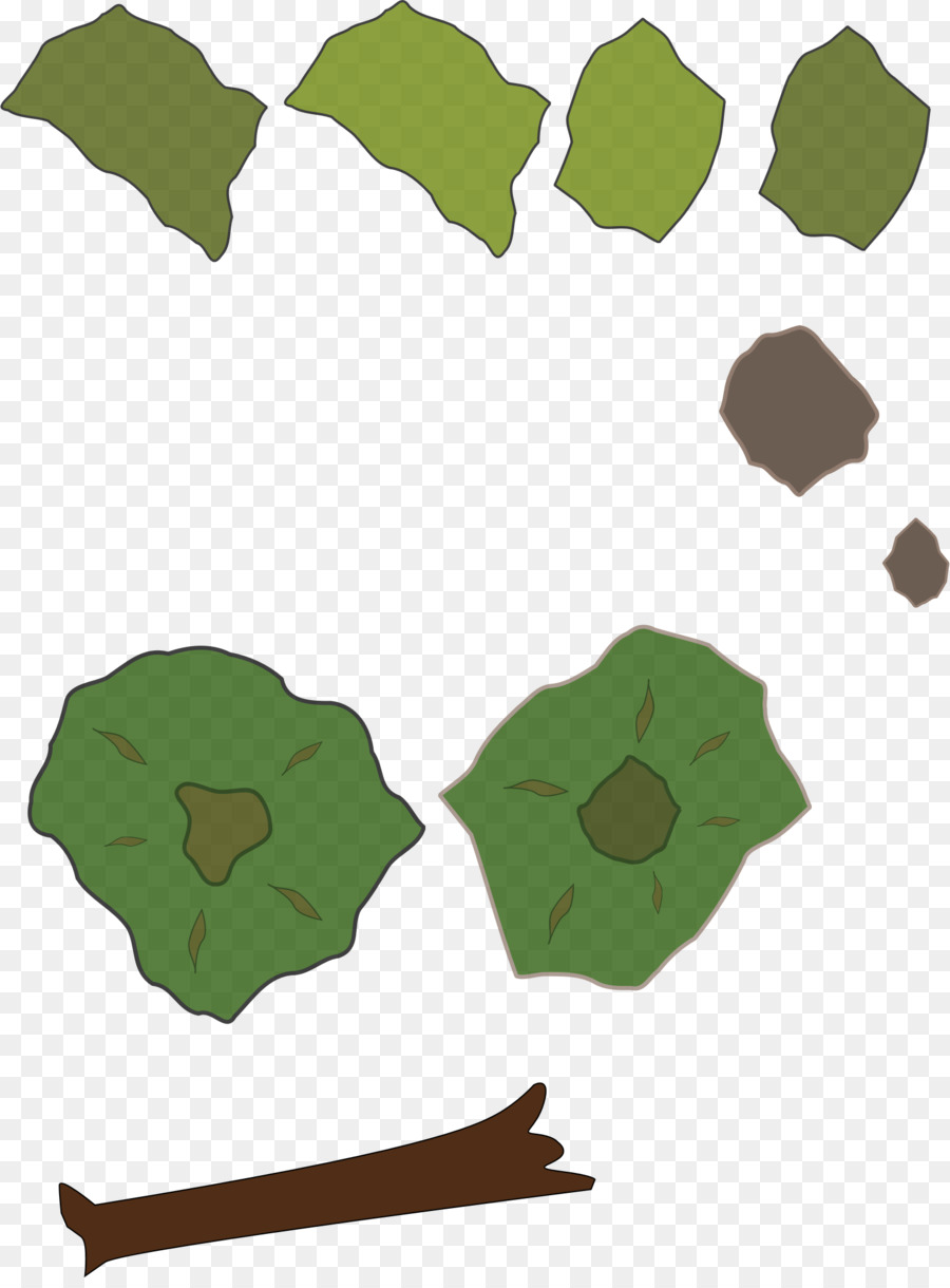 Feuilles，Vert PNG