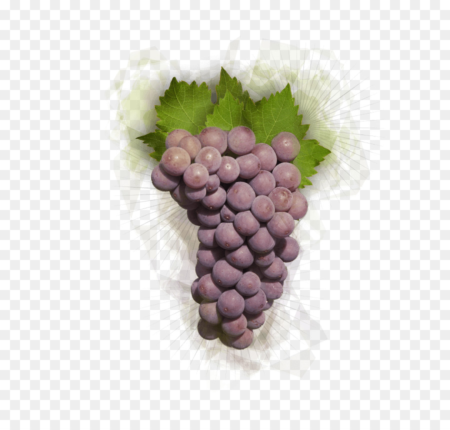 Raisins，Vigne PNG