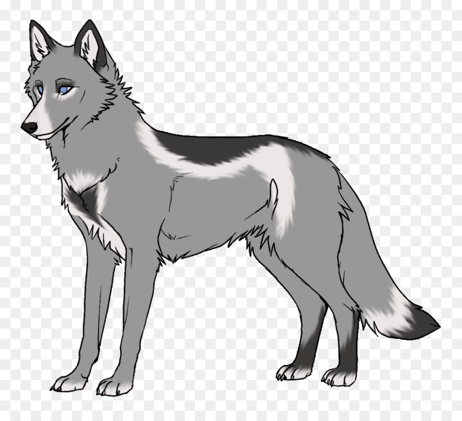 Chien Loup Tchécoslovaque，Saarloos Loup PNG