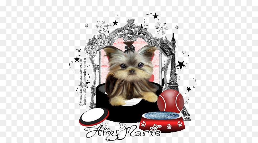 Yorkshire Terrier，Chiot PNG