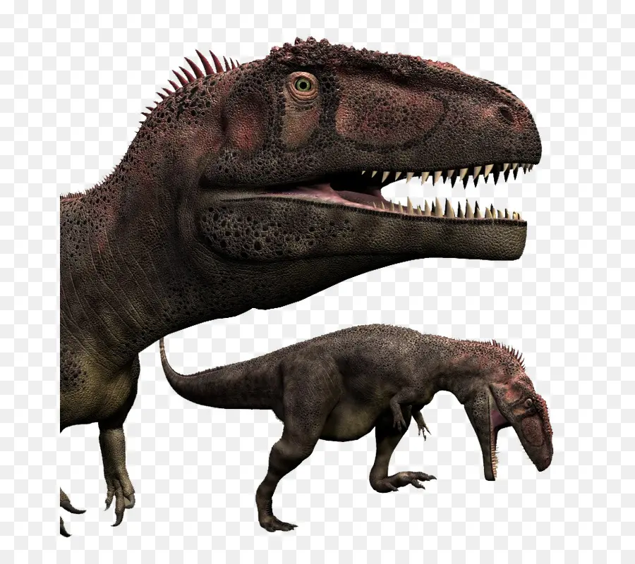 Tyrannosaure Rex，Préhistorique PNG