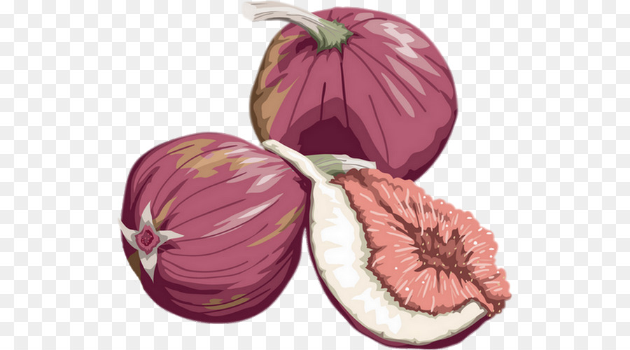 Fruit，Dessin PNG