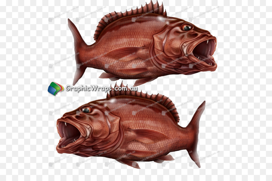 Poisson，Carpe PNG