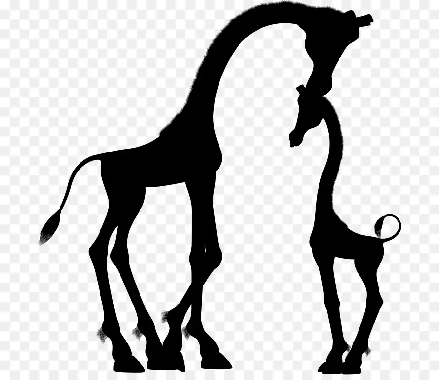 Girafes，Silhouette PNG