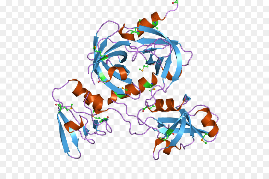 Structure Des Protéines，Molécule PNG