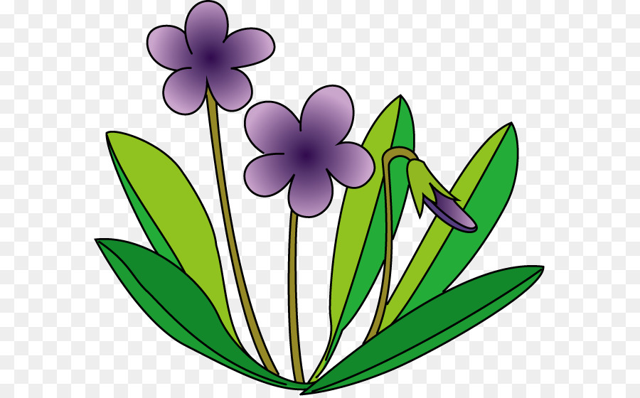 Fleurs Violettes，Feuilles PNG