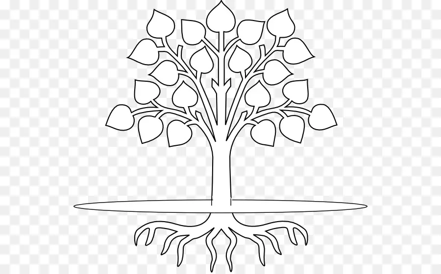 Arbre，Racine PNG