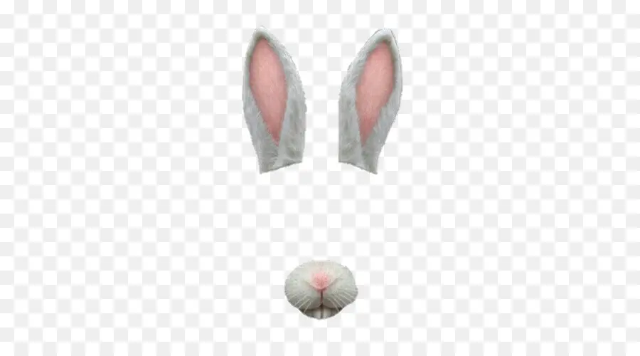 Oreilles Et Nez De Lapin，Lapin PNG