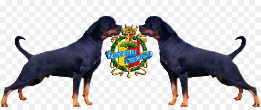 Rottweiler，Chien De Chasse Polonais PNG