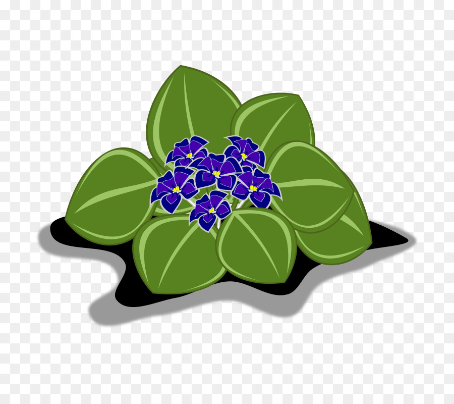 Fleurs Violettes，Feuilles PNG