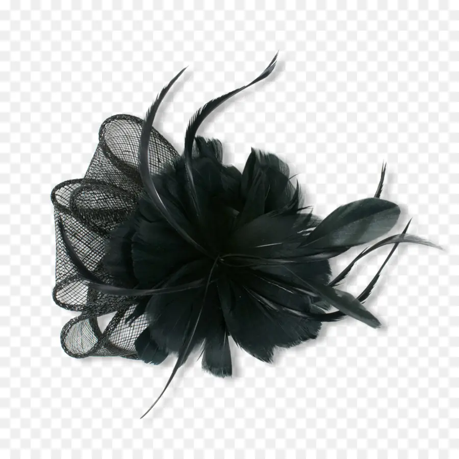 Plume Noire，Décoration PNG