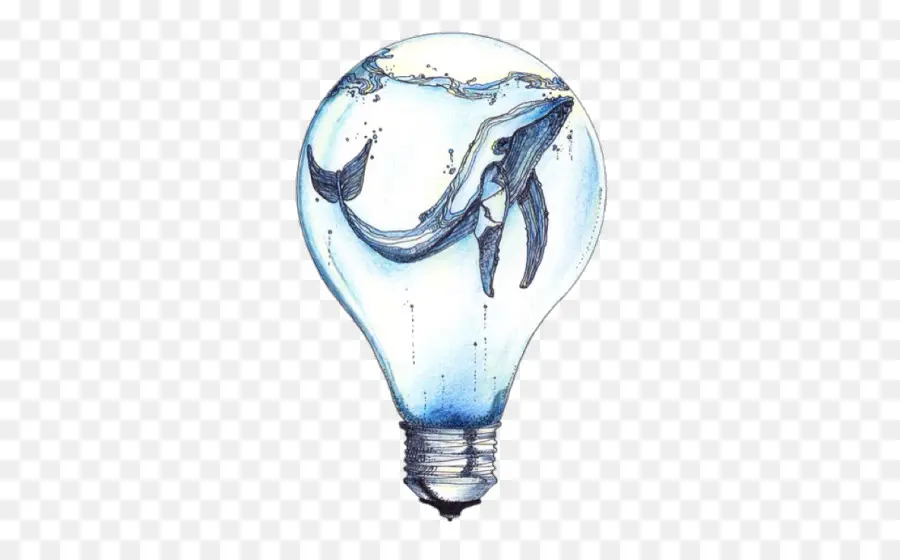 La Lumière，Baleine PNG