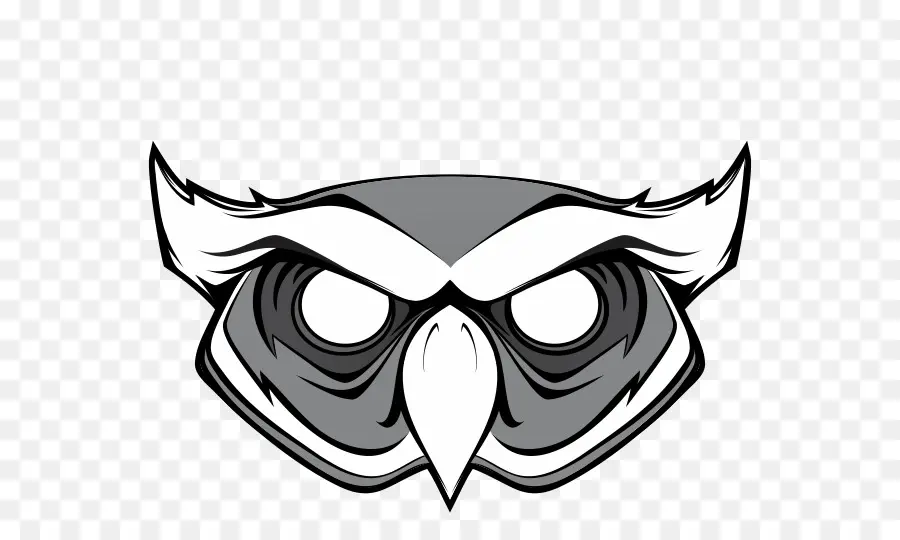 Visage De Hibou，Hibou PNG