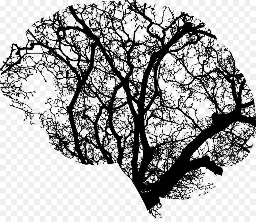 Cerveau D'arbre，Nature PNG