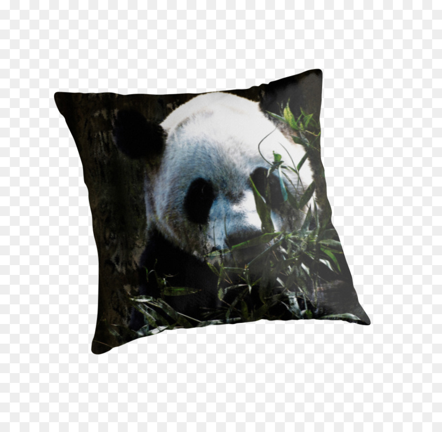 Panda Géant，Ours PNG