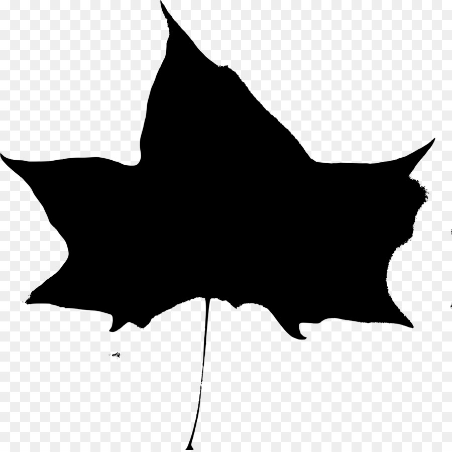 Feuille De Ginkgo，Silhouette PNG