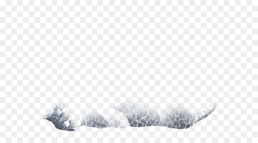 Blanc，Fourrure PNG