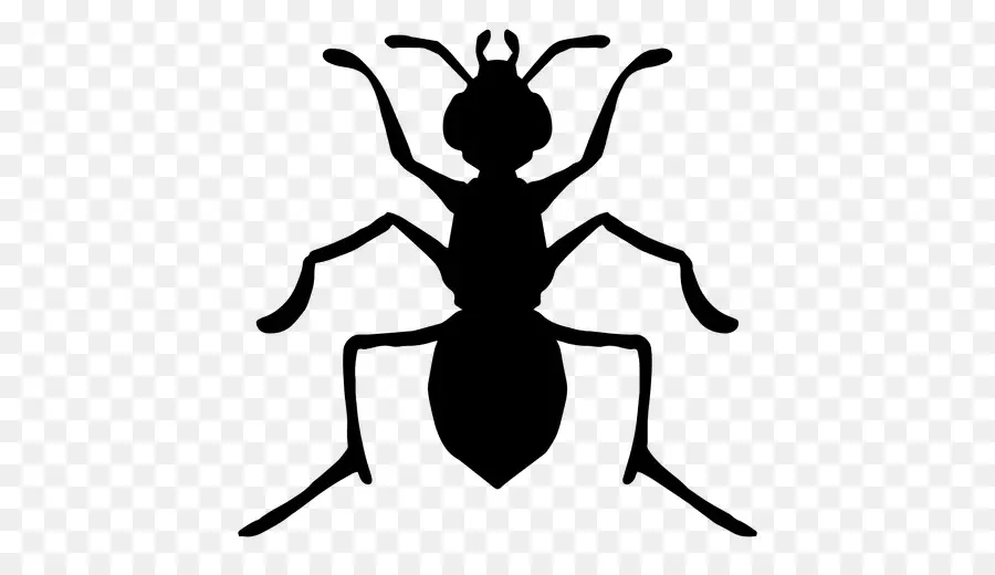 Silhouette D'insecte Noir，Insecte PNG