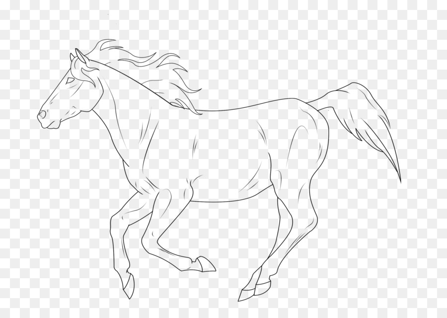 Cheval，Dessin Au Trait PNG