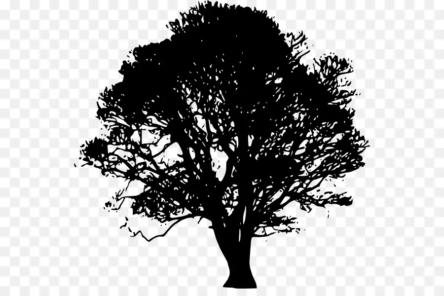 Silhouette D'arbre，Noir PNG