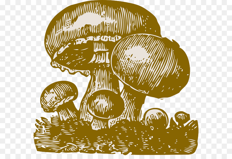 Champignons，Nature PNG