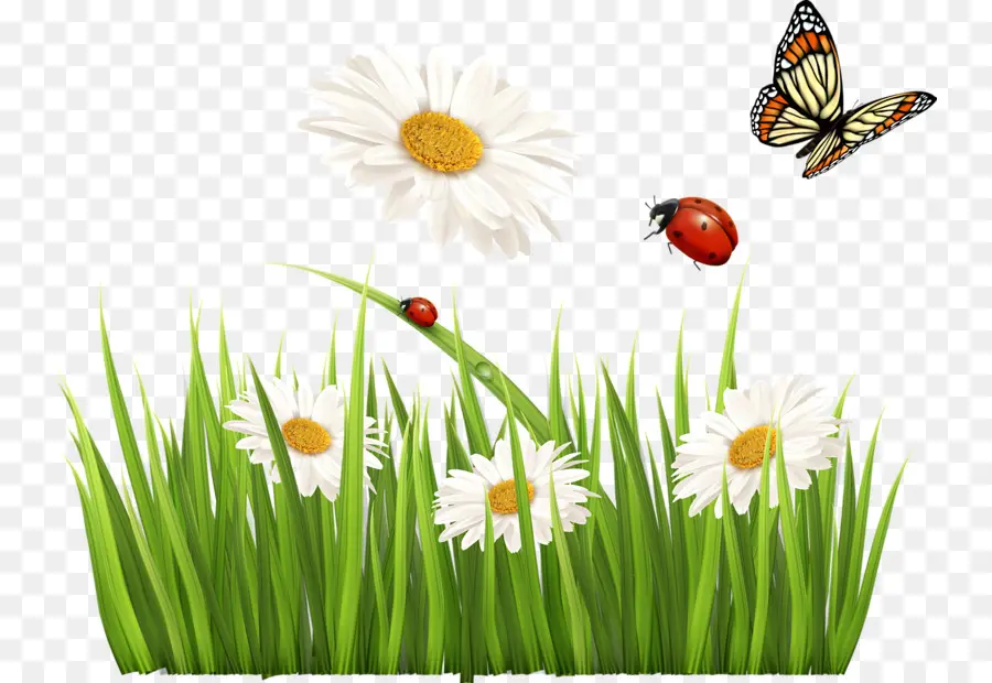 Fleurs Et Herbe，Papillon PNG