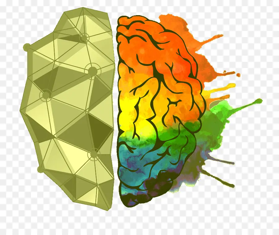 Cerveau Coloré，Cerveau PNG